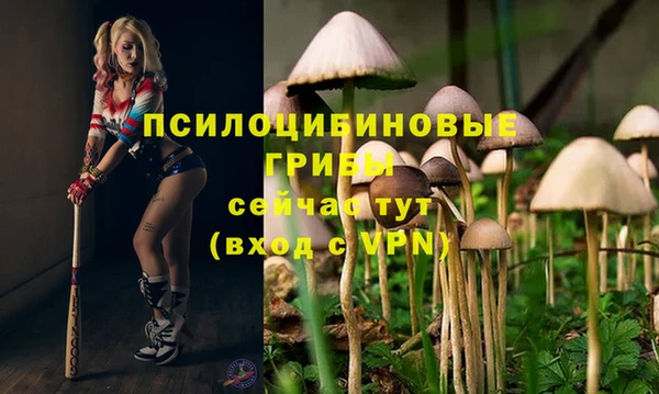 герыч Балахна