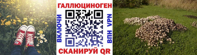 где купить наркоту  Печора  Псилоцибиновые грибы GOLDEN TEACHER 