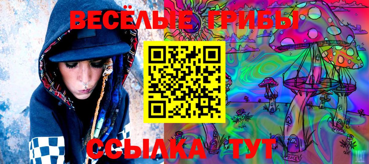 Псилоцибиновые грибы Psilocybine cubensis  Вход с VPN  Печора 