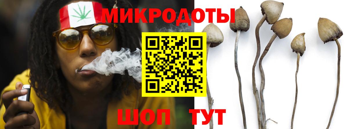 Галлюциногенные грибы мухоморы Печора